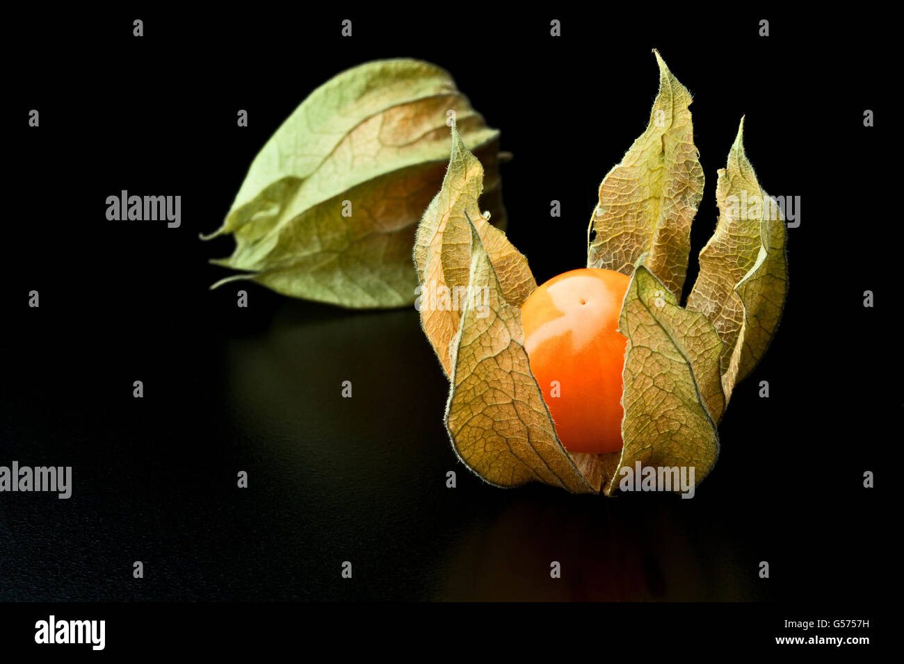 detail of alkekengi fruit background Stock Photo - Alamy