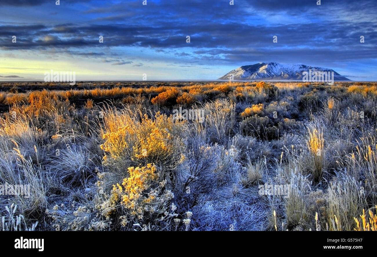 Hoar frost on sagebrush by the Big Southern Butte in the Craters of the Moon National Monument in the Snake River Plain near Arco, Idaho. Stock Photo