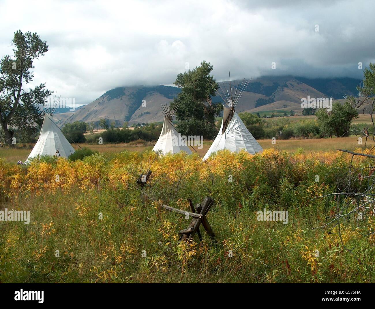 Nez perce indian tribe hi-res stock photography and images - Alamy, image size:1300x1069