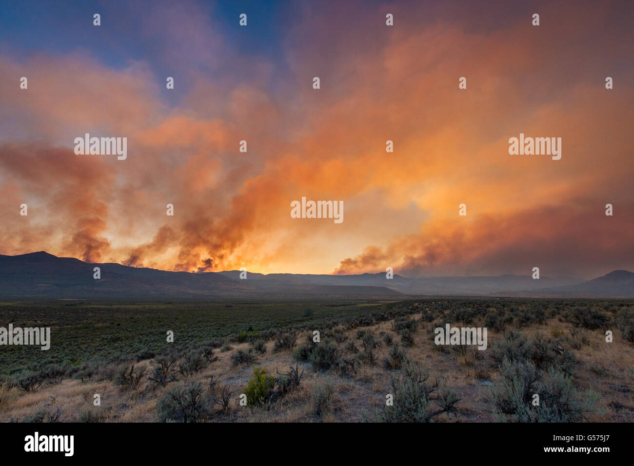 Wildfire burns through the dry rangeland in the Soda Fire August 18