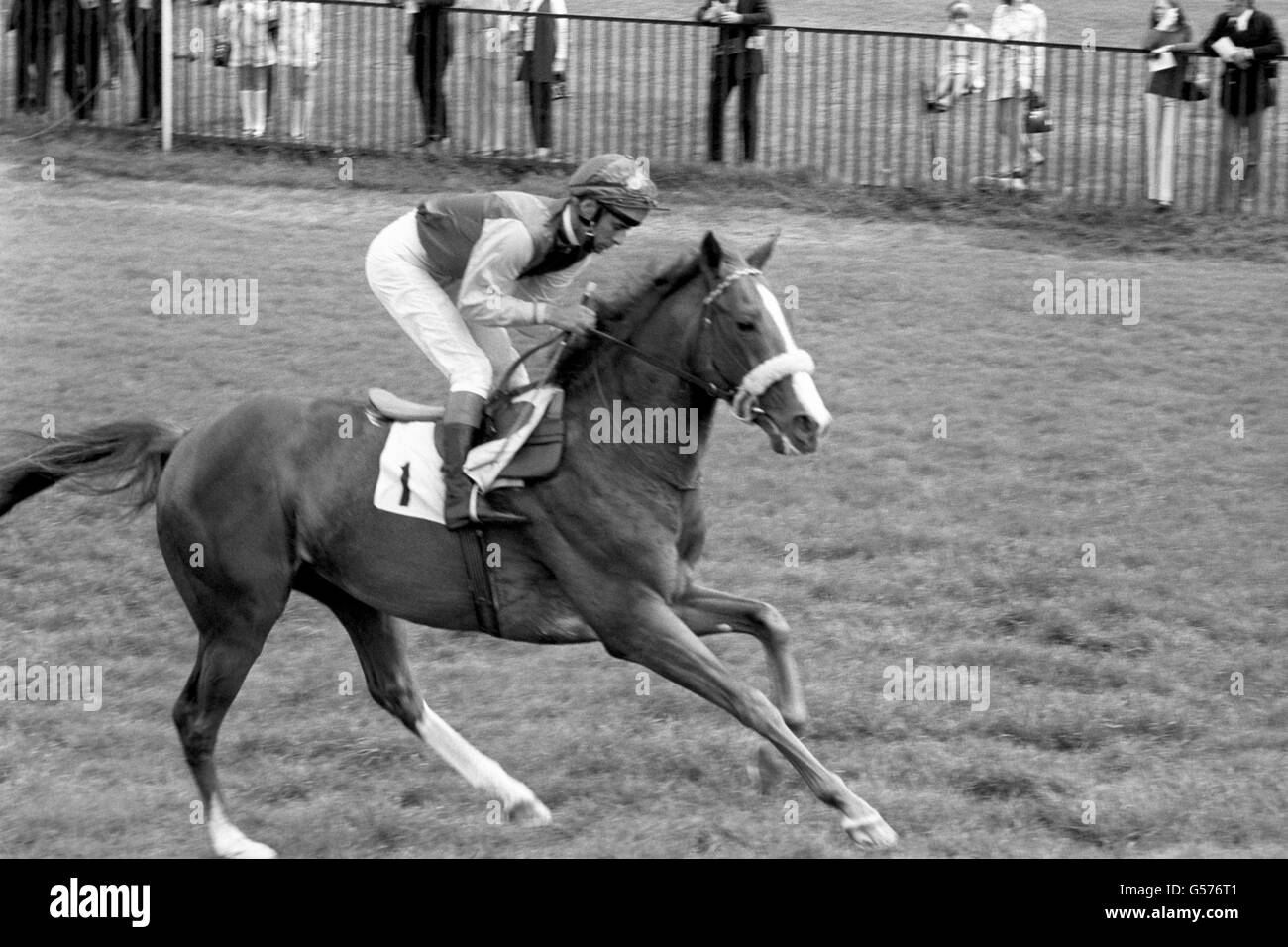 Horse Racing - Calpurnius Stock Photo