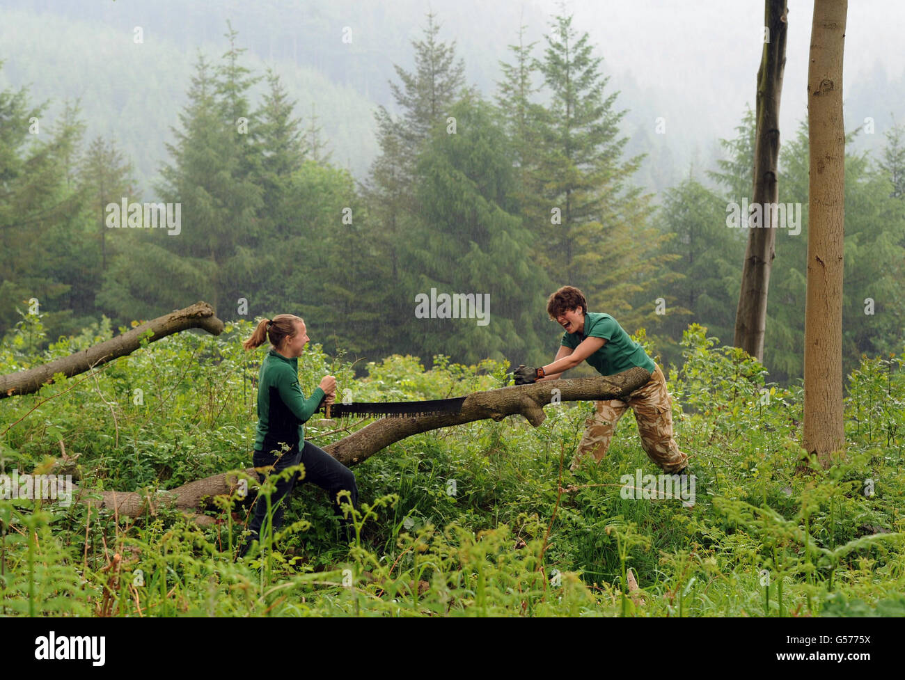 Modern day lumberjills Sarah Bell(left) and Corinne McMinnis try out the old war time saws used by their wartime colleagues. Stock Photo