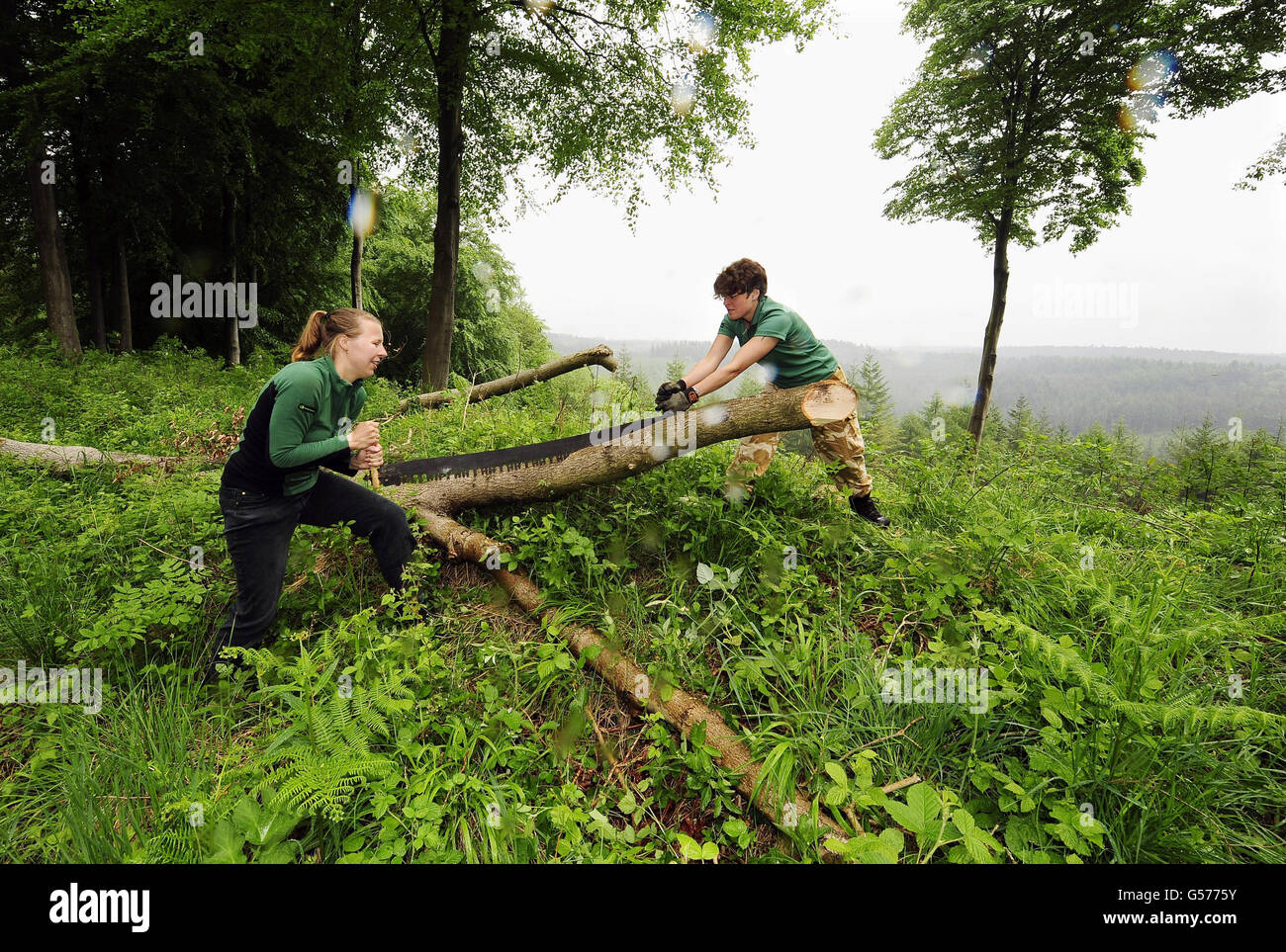Lumberjills Stock Photo 106494807 Alamy