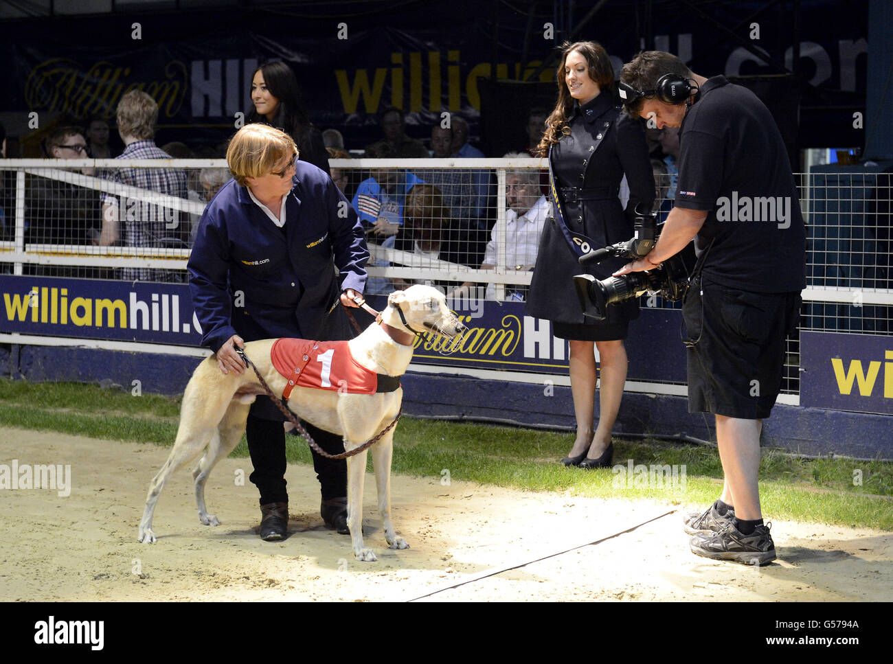 Greyhounds Greyhound Derby Final Wimbledon