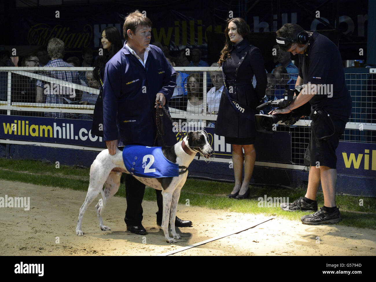 Greyhounds Greyhound Derby Final Wimbledon