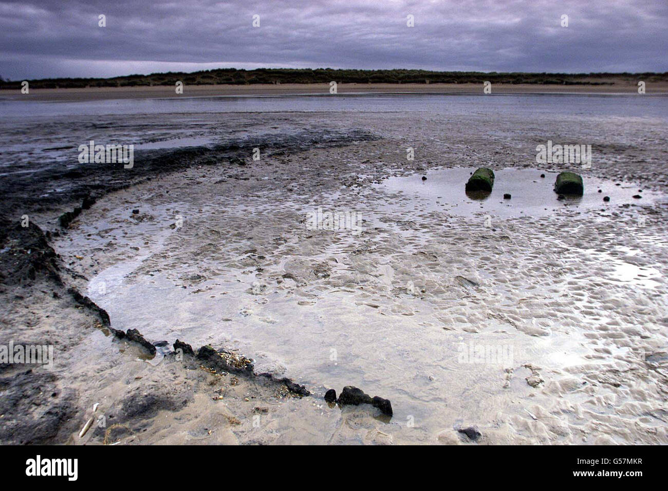 A circle of crumbled timber stands at low tide, on the coast of Norfolk, at Holme next the Sea. The circle is just yards away from the wooden 'Seahenge' excavated by experts from English Heritage in 1999 so that archaeologists copuld test the timbers. * English Heritage are now considering what do with this second discovery. Stock Photo