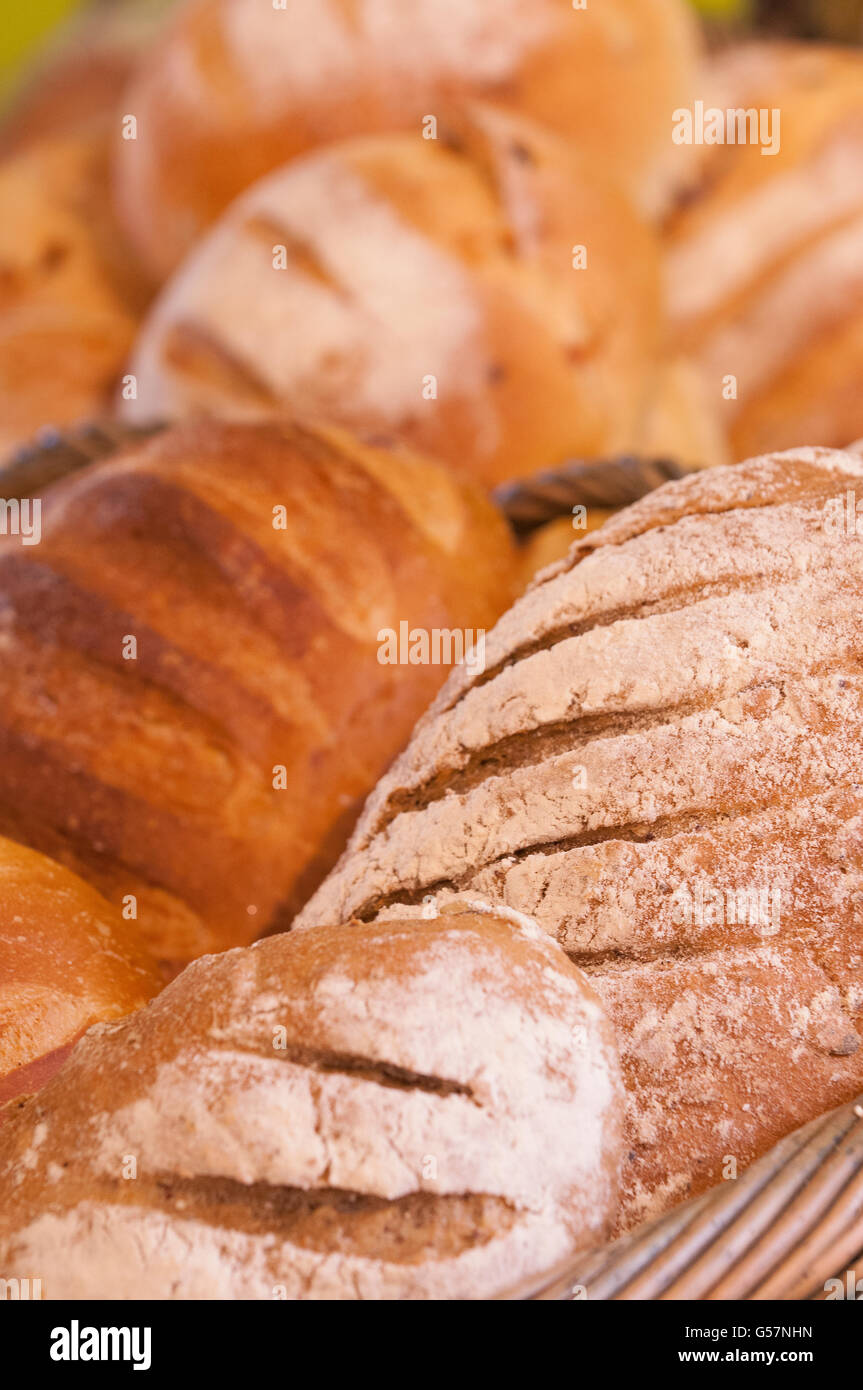 Selection of freshly baked bread Stock Photo Alamy