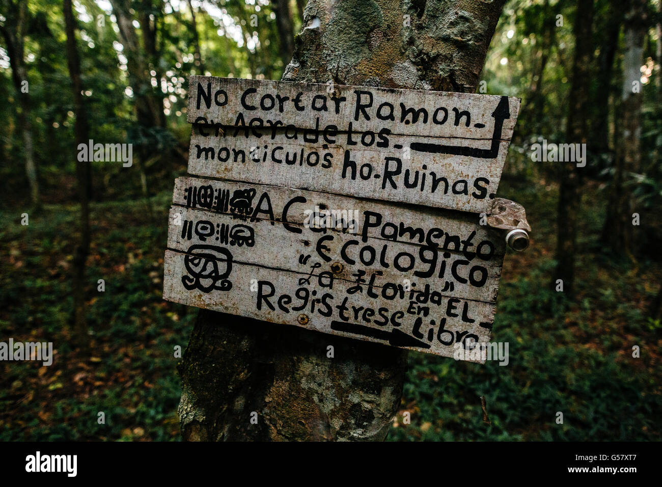 A rickety sign in spanish near the Mayan ruins of La Florida, a part of the El Mirador archaeology complex in the Peten region of the Guatemala jungle. Stock Photo