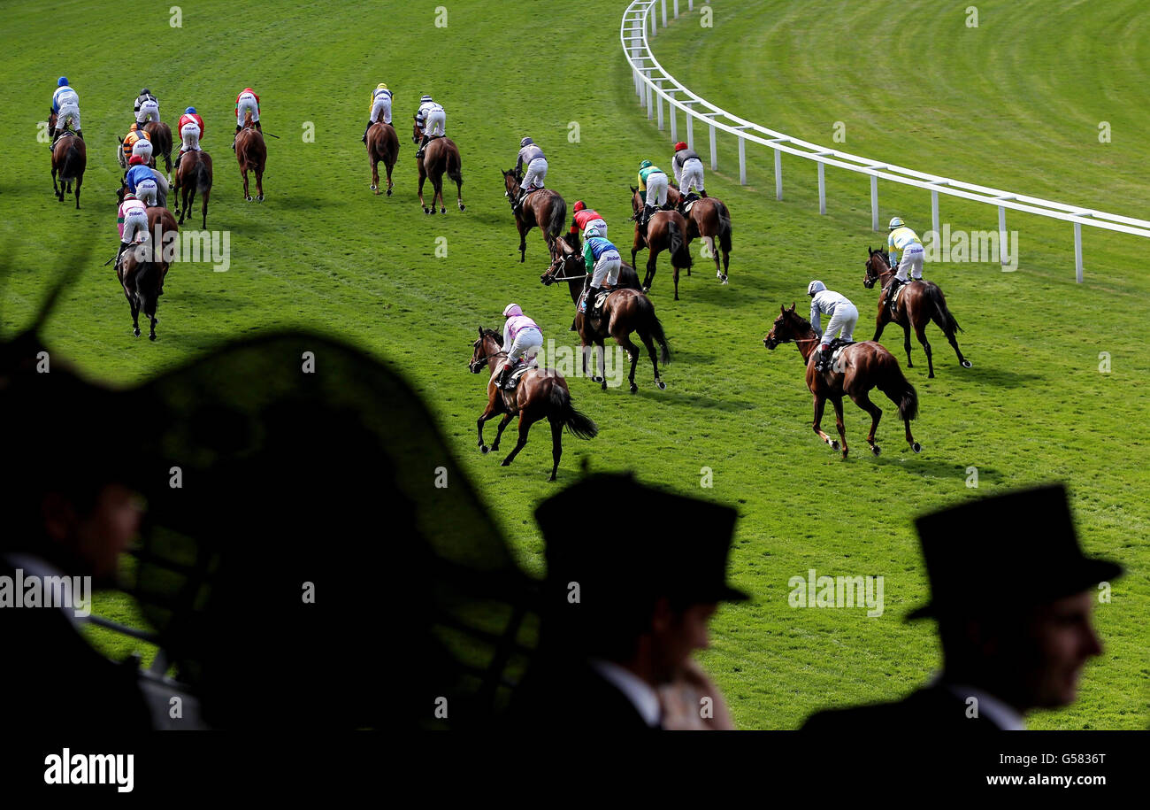 Runners finish the Royal Hunt Cup during day two of the 2012 Royal Ascot meeting at Ascot Racecourse, Berkshire. Stock Photo