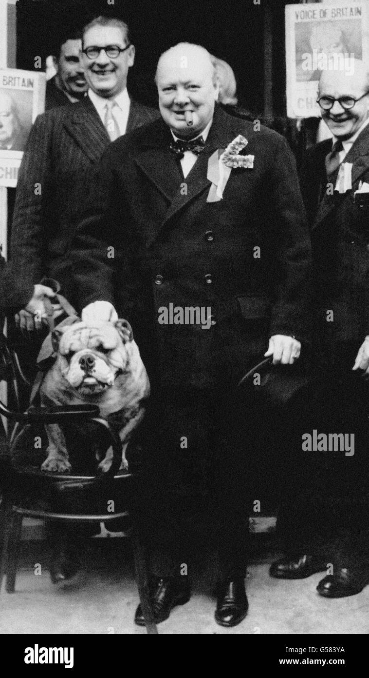 Winston Churchill, with a smile a cigar, greets bulldog 'Barley Mow' at the Conservative Club during a polling day tour of his constituency, Woodford, Essex Stock Photo - Alamy