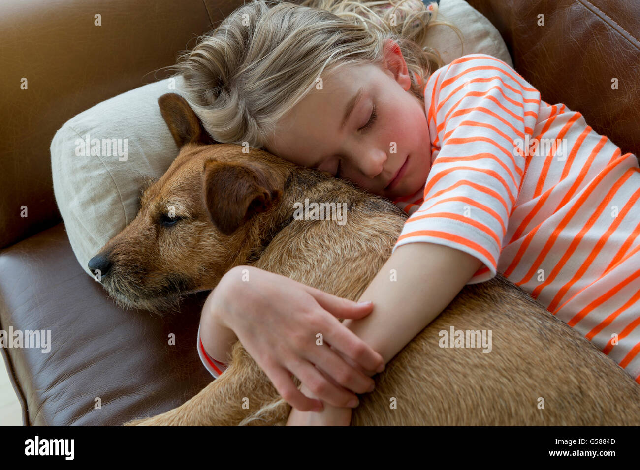 Young girl cuddling her pet dog on a sofa at home. Stock Photo