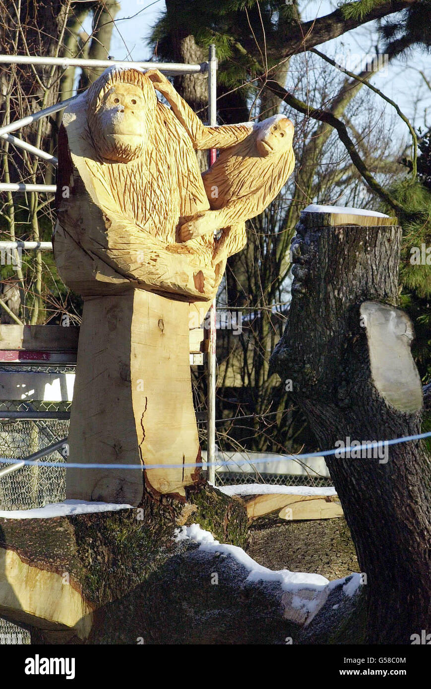 Tree Sculpture Bristol Zoo Stock Photo Alamy