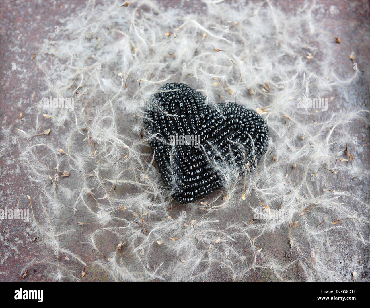 Black bead heart on rusty tin lid, surrounded by and overlain by feathery clematis seeds. Stock Photo