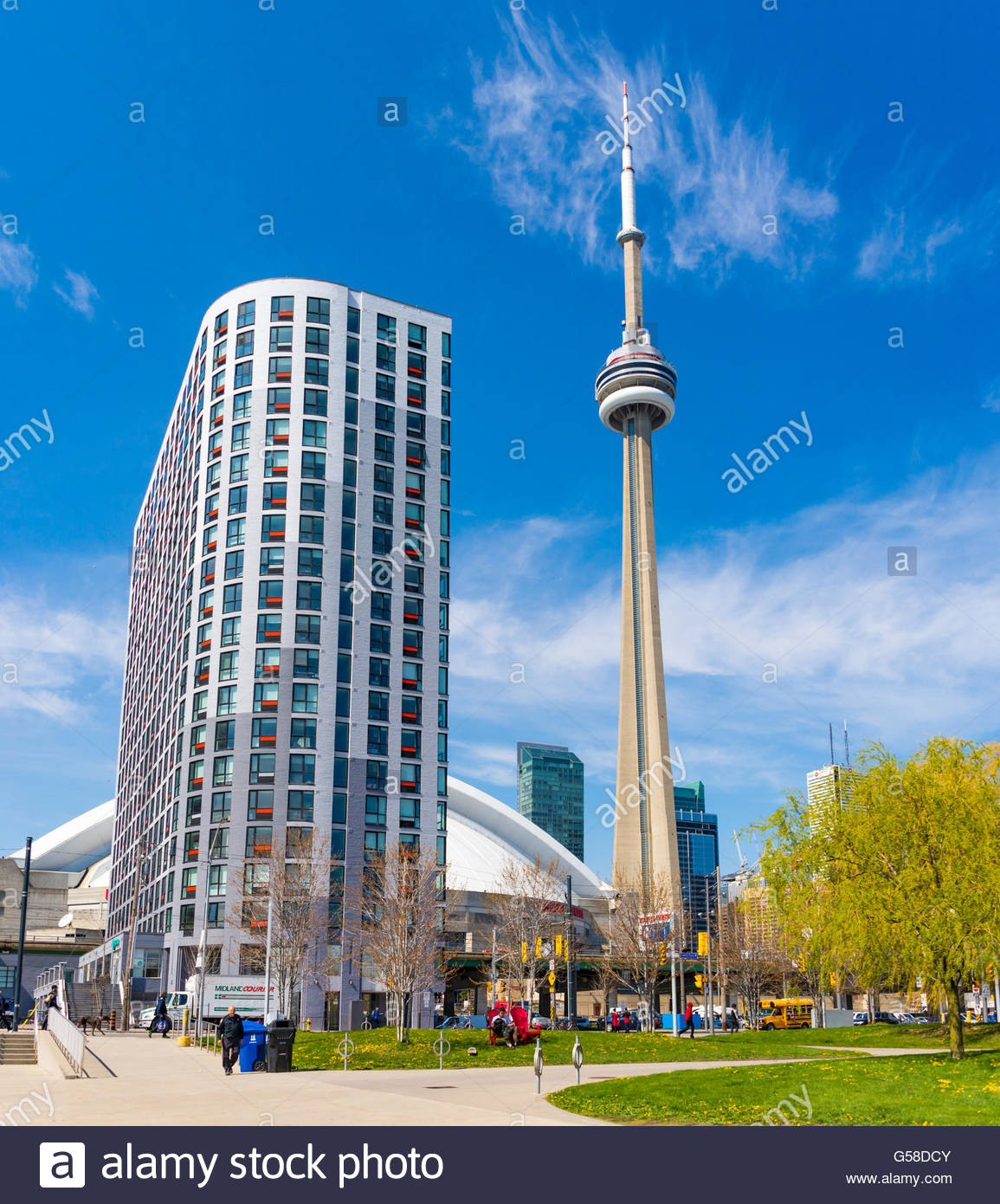 Toronto Downtown Skyline From Park Tall Majestic Cn Tower The