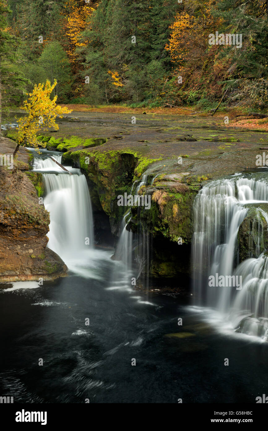 WA1282900...WASHINGTON Lower Lewis River Falls in the Gifford