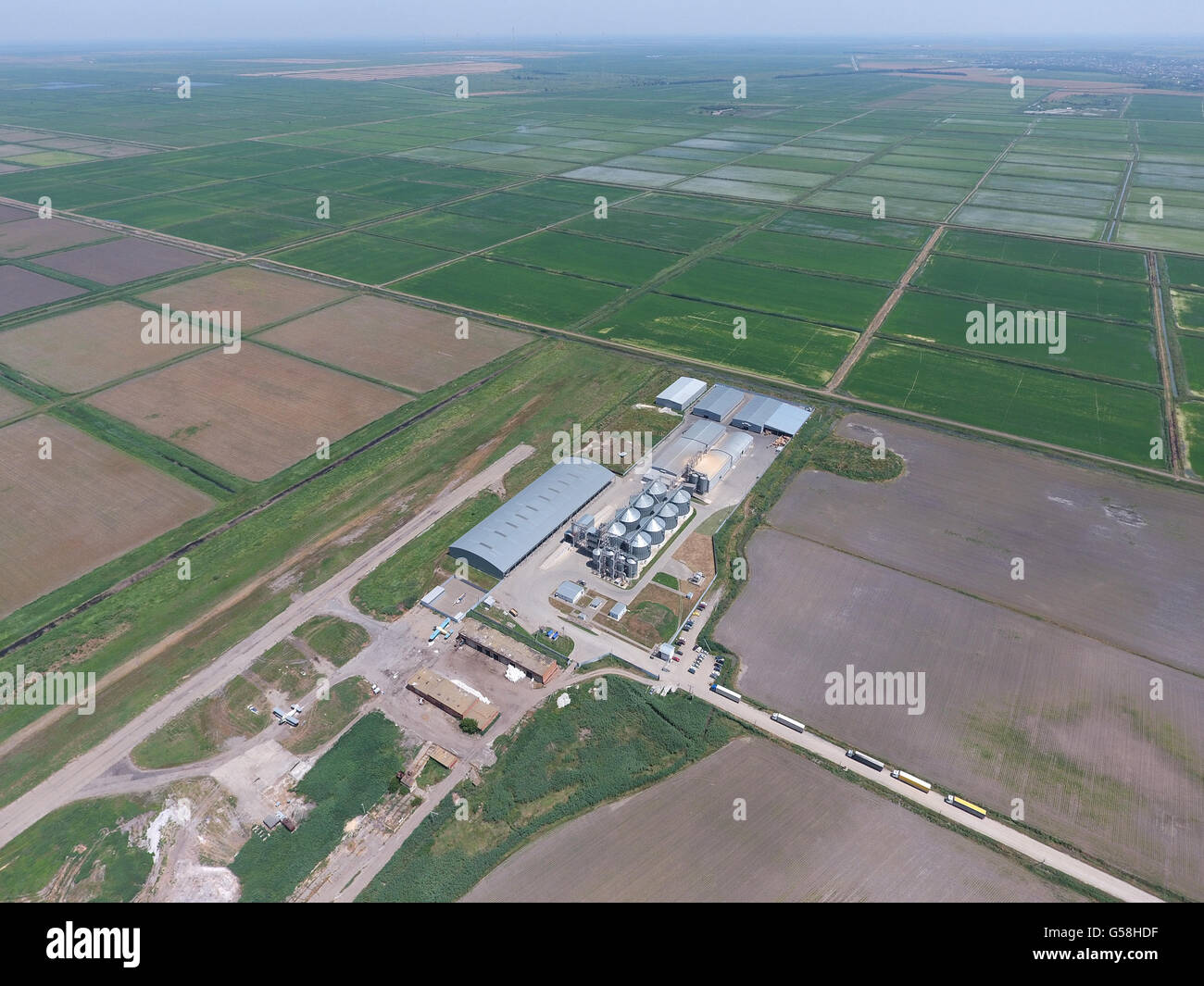 Plant for the drying and storage of grain. Rice plant in the middle of ...