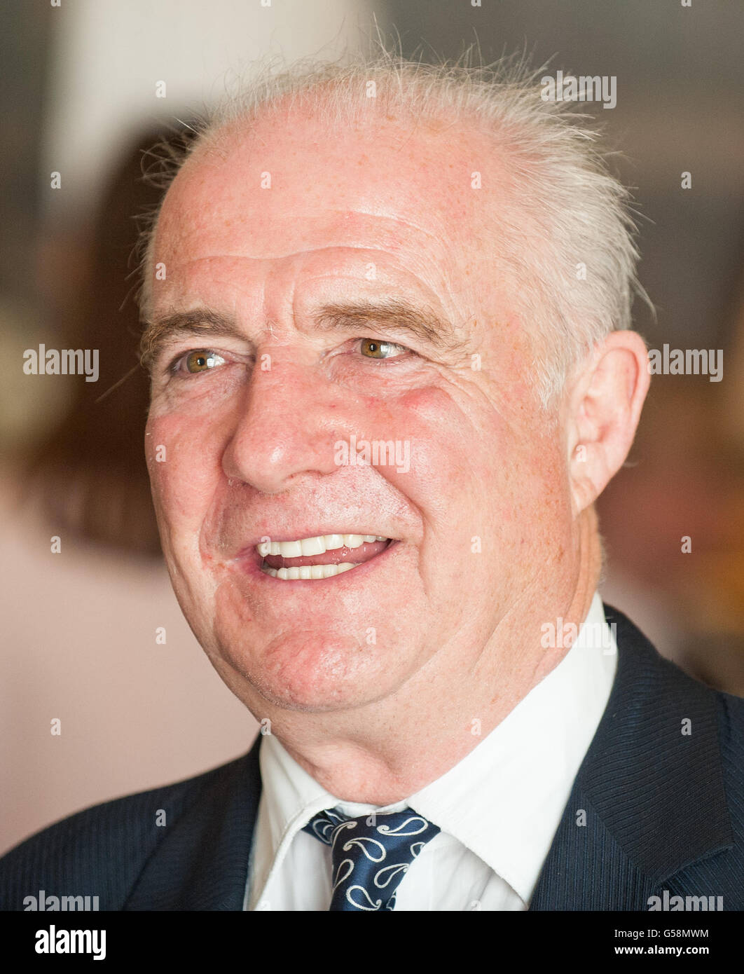 Royal Jubilee Celebrations Stock Photo Alamy royal-jubilee-celebrations-stock-photo-alamy