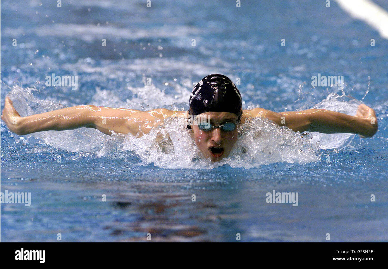FINA World cup swimming Stock Photo Alamy