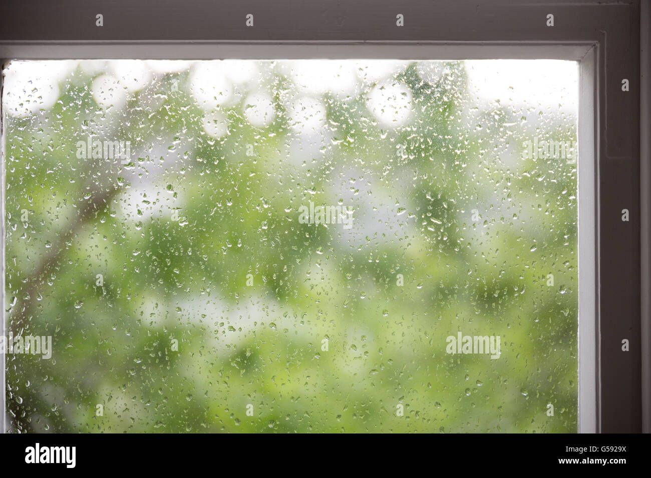 water drops on glass.rainy window Stock Photo - Alamy
