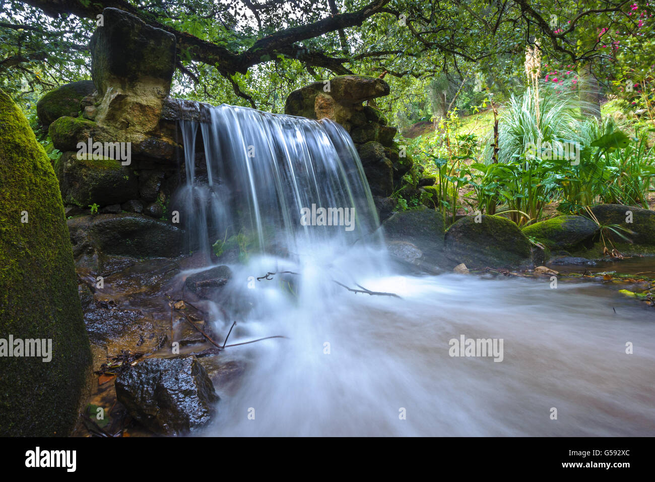 Beautiful park landscape green hi-res stock photography and images - Alamy