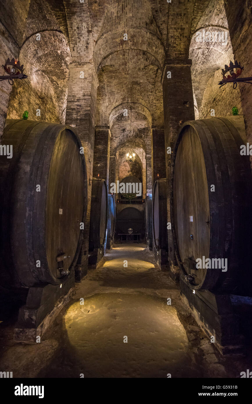 Botti Di Vino High Resolution Stock Photography And Images Alamy