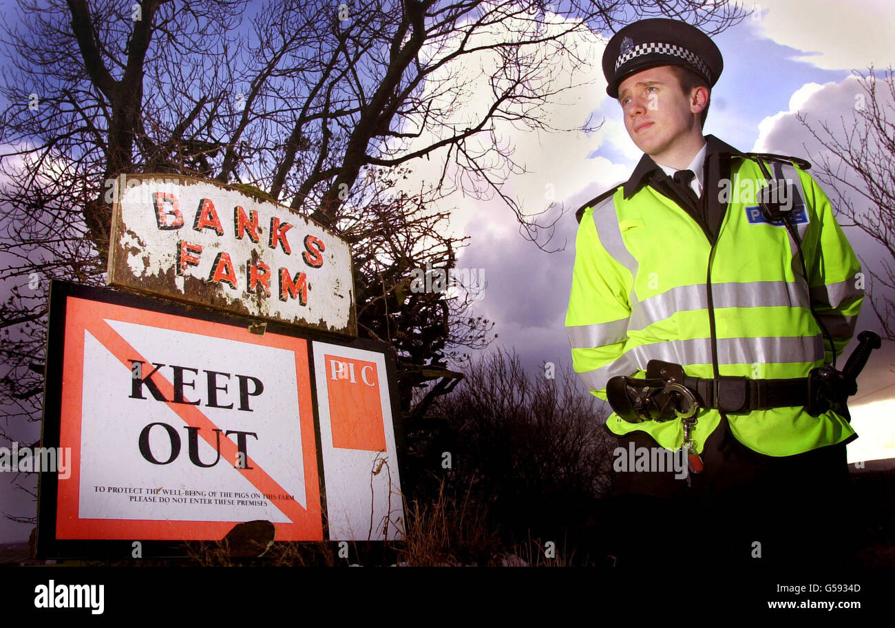 PC Adrian Moar keeps guard over the entrance to Banks Farm near Fyvie in Scotland, after it was sealed off whilst a possible case of foot-and-mouth disease is investigated. *... The farm is subject to movement restrictions and a 'stand-still' notice is in effect for an 8km radius around the farm. Stock Photo