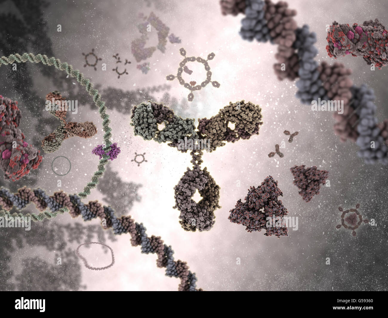 Antibody molecule hi-res stock photography and images - Alamy