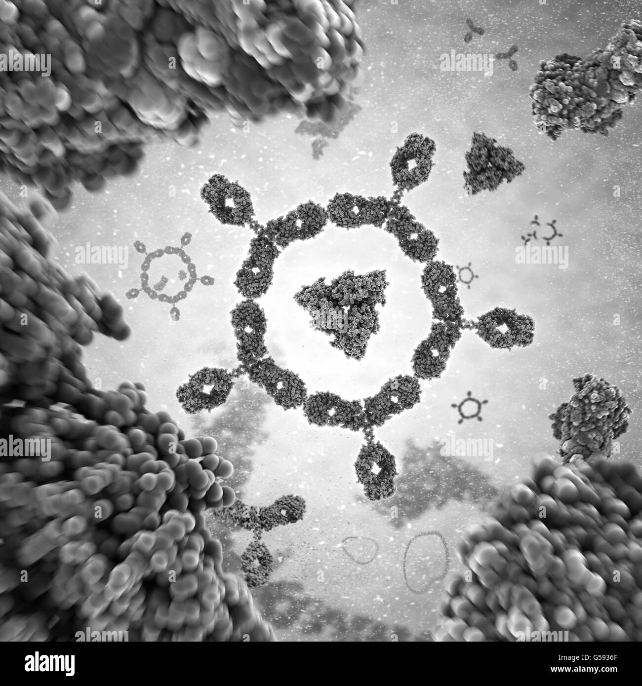 Cluster of antibodies. Antibody a.k.a. Immunoglobulin G (IgG) is a Y-shaped protein and part of the human immune system Stock Photo