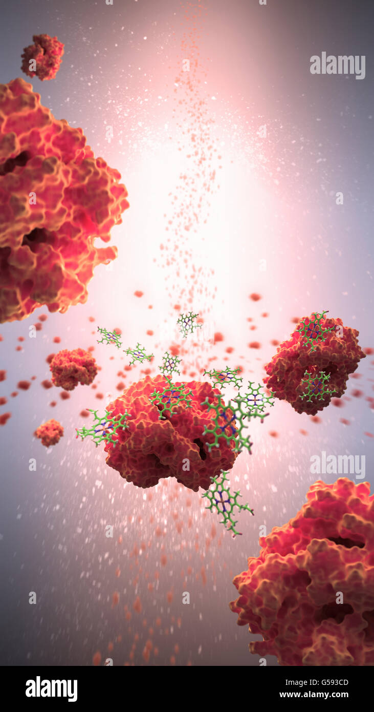 Hemoglobin (in red) is a protein in the blood that carries oxygen from the respiratory organs to the rest of the body Stock Photo