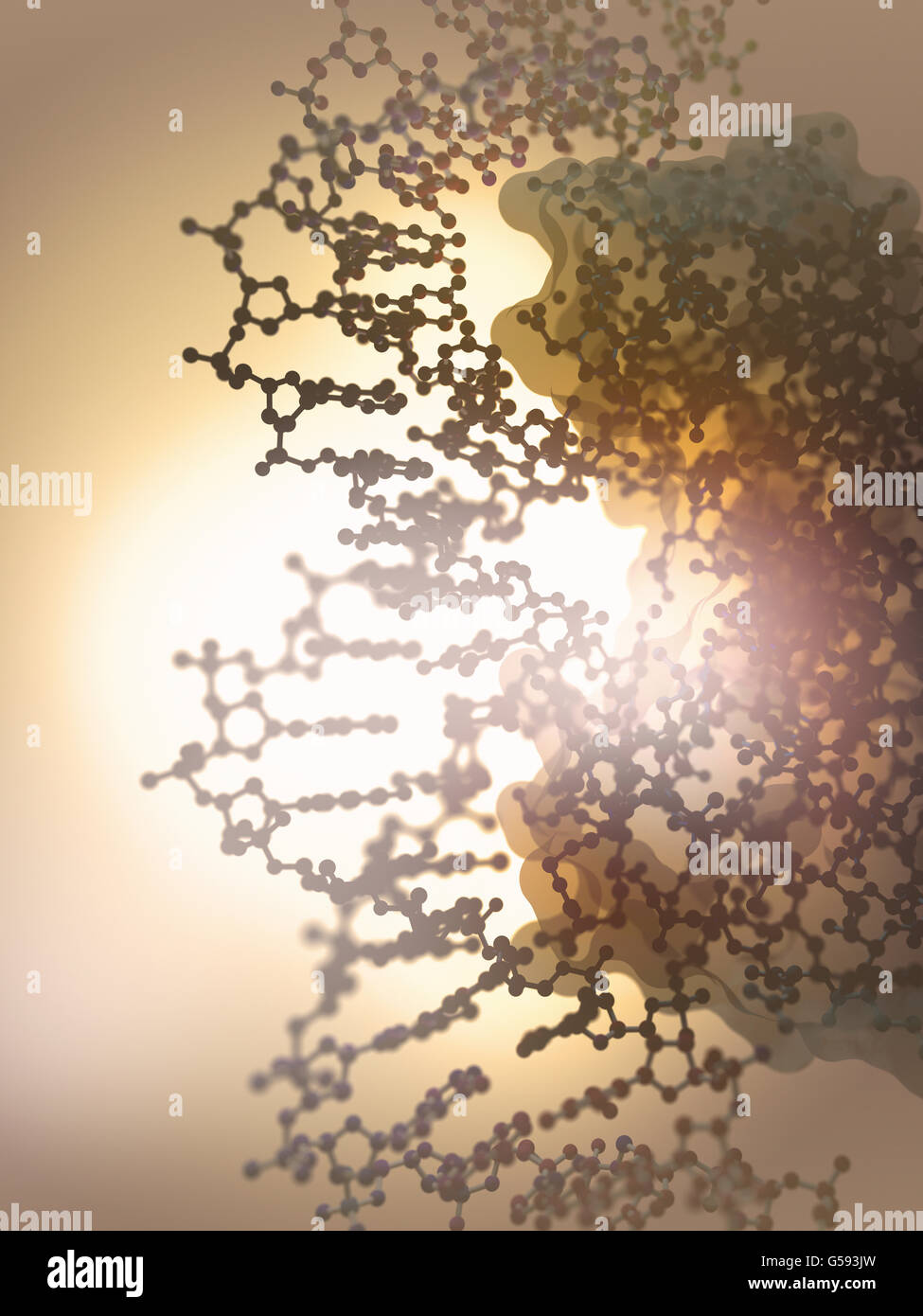 Detail of a DNA double helix molecule Stock Photo