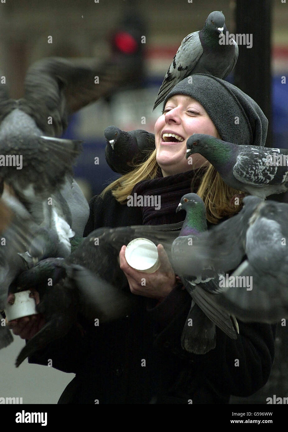 Feeding the pigeons Stock Photo