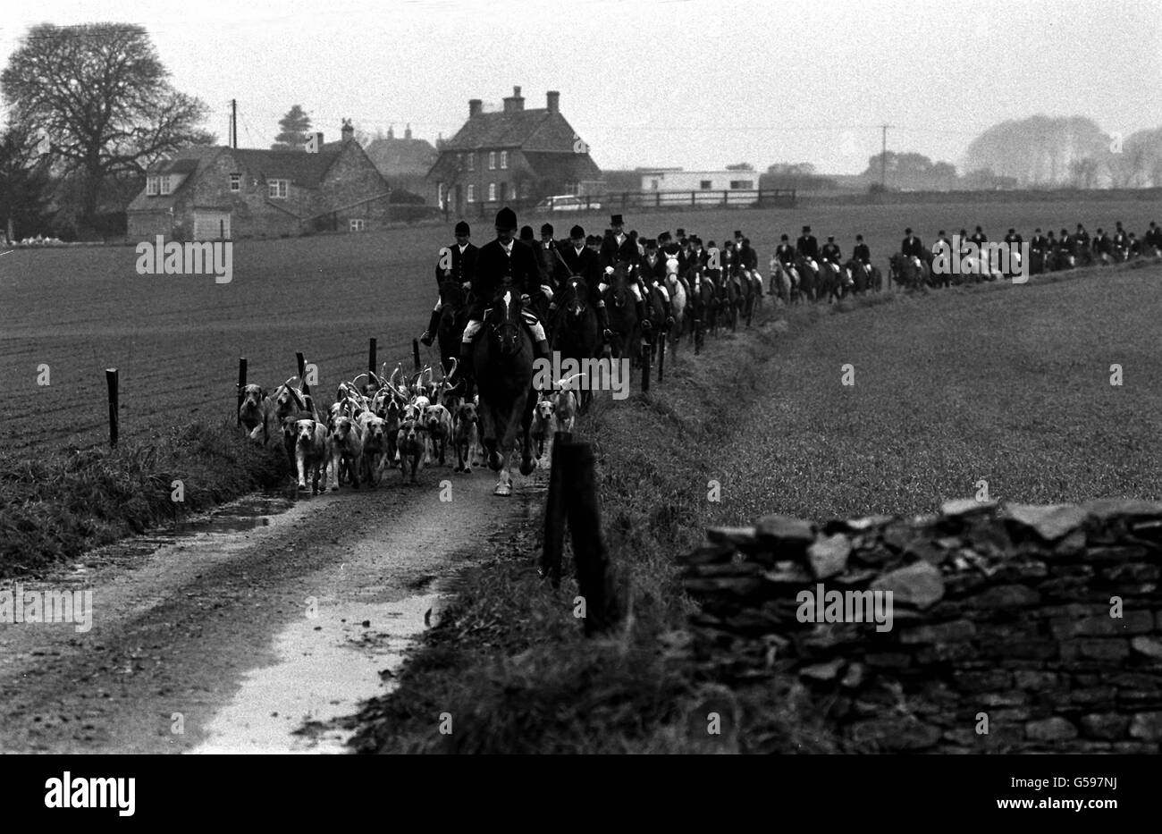 FOX HUNTING 1980: The Duke of Beaufort's Hunt makes its way through Cotswold scenery near Worcester Lodge, Badminton, Gloucestershire. Stock Photo