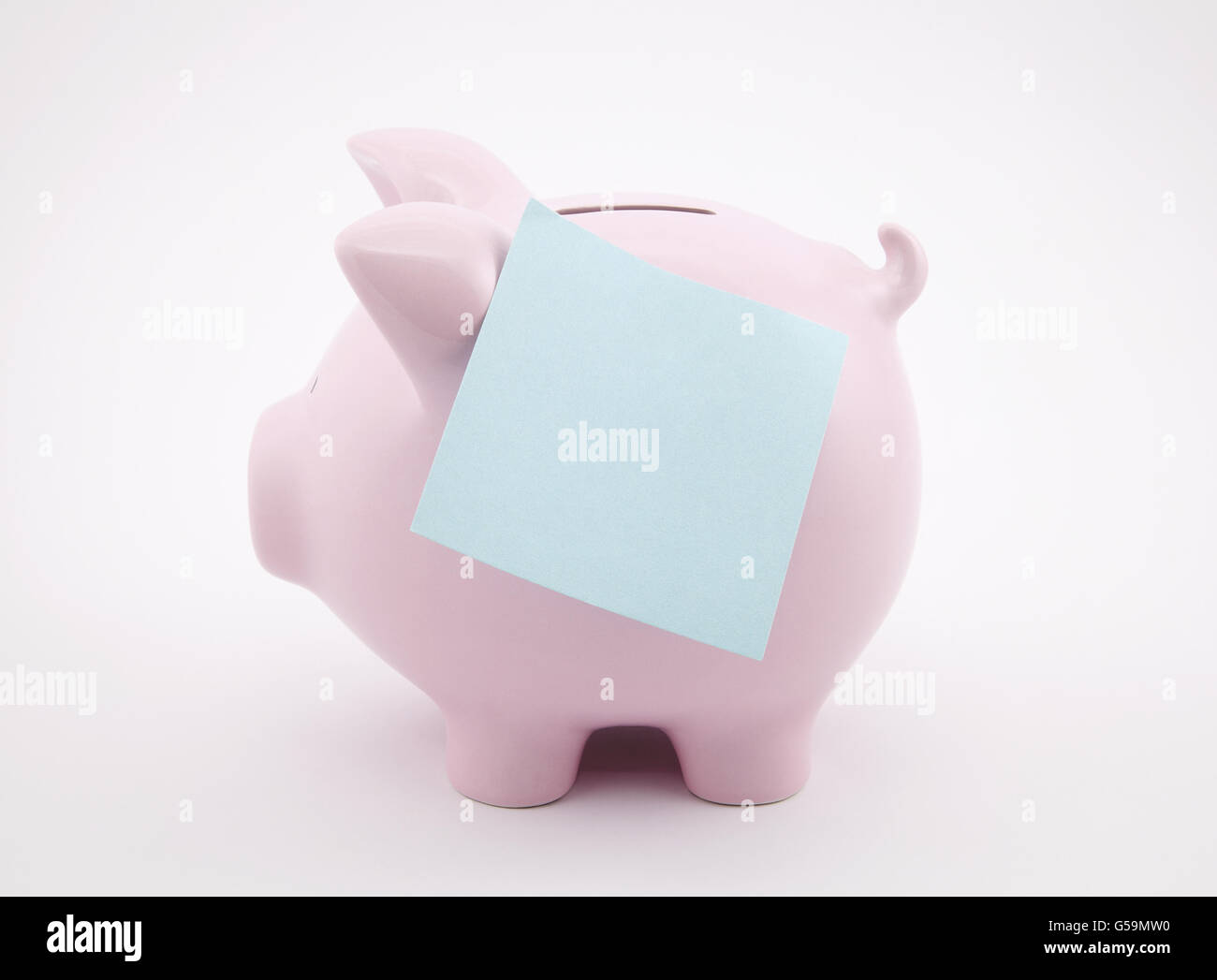 Blank best sale piggy bank