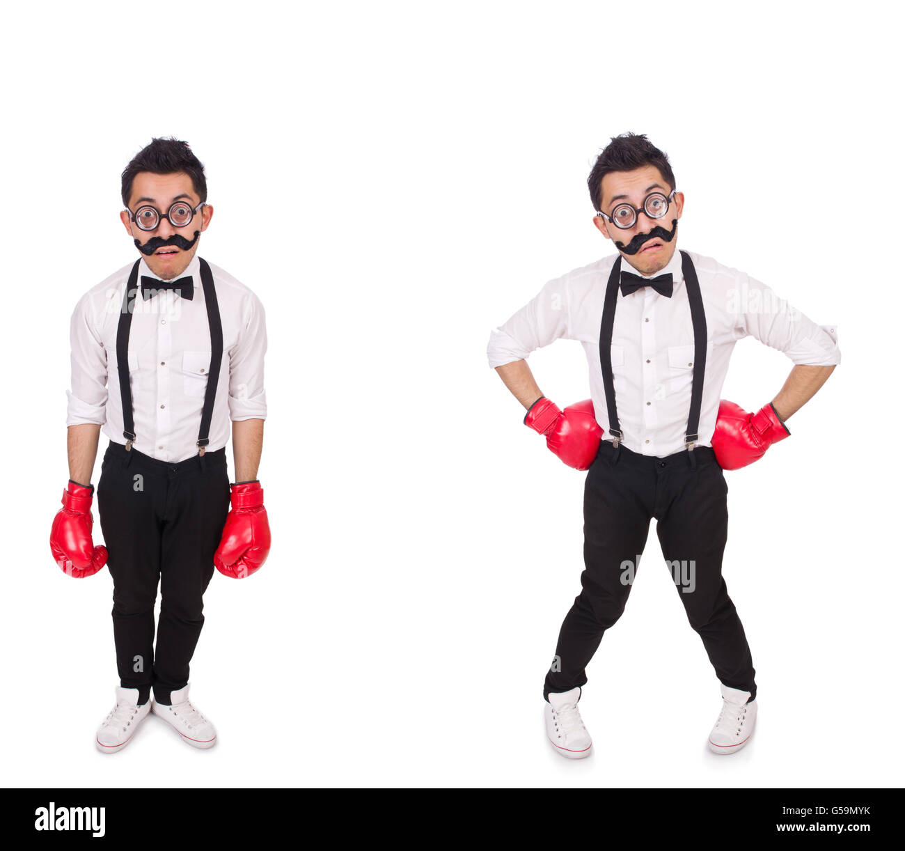 Funny boxer isolated on the white background Stock Photo - Alamy
