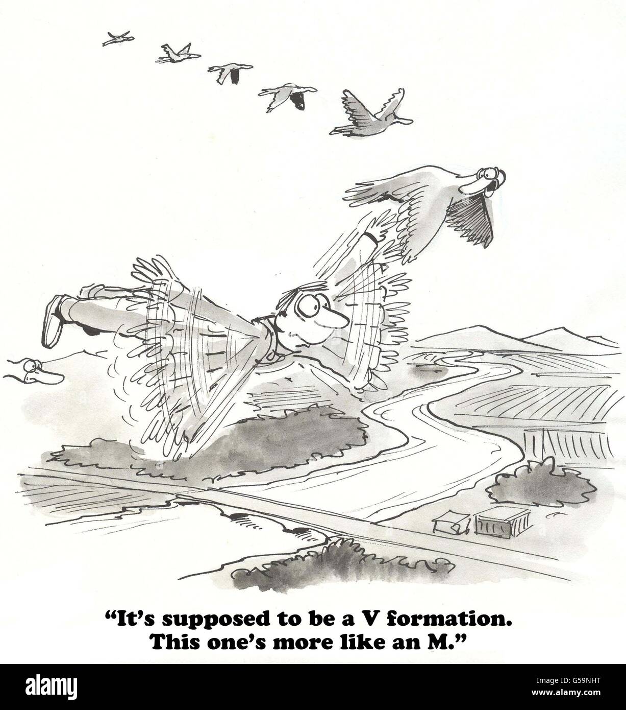 Cartoon about geese flying in formation. Stock Photo