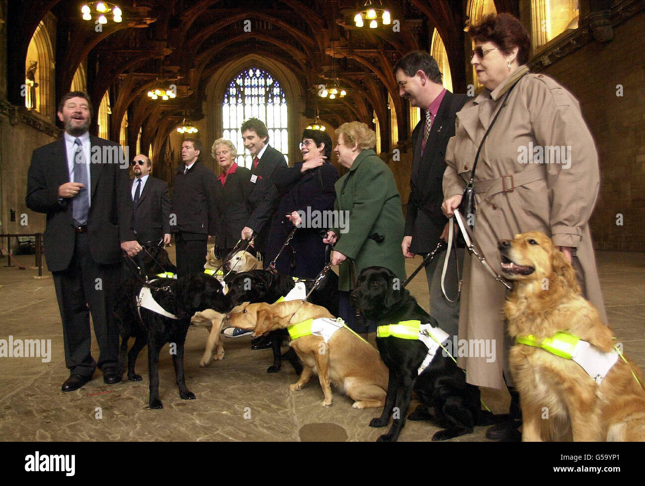 Education Secretary David Blunkett (left) and his guide dog, Lucy, meet members of The Guide Dogs for the Blind Association in the Great Hall, Houses of Parliament, London. * The reception celebrated the introduction of legislation requiring licensed taxi drivers to carry guide dogs in their cars following a campaign launched about a year ago after guide dog owners complained they had been left stranded by cab drivers who refused to take their dogs. Stock Photo