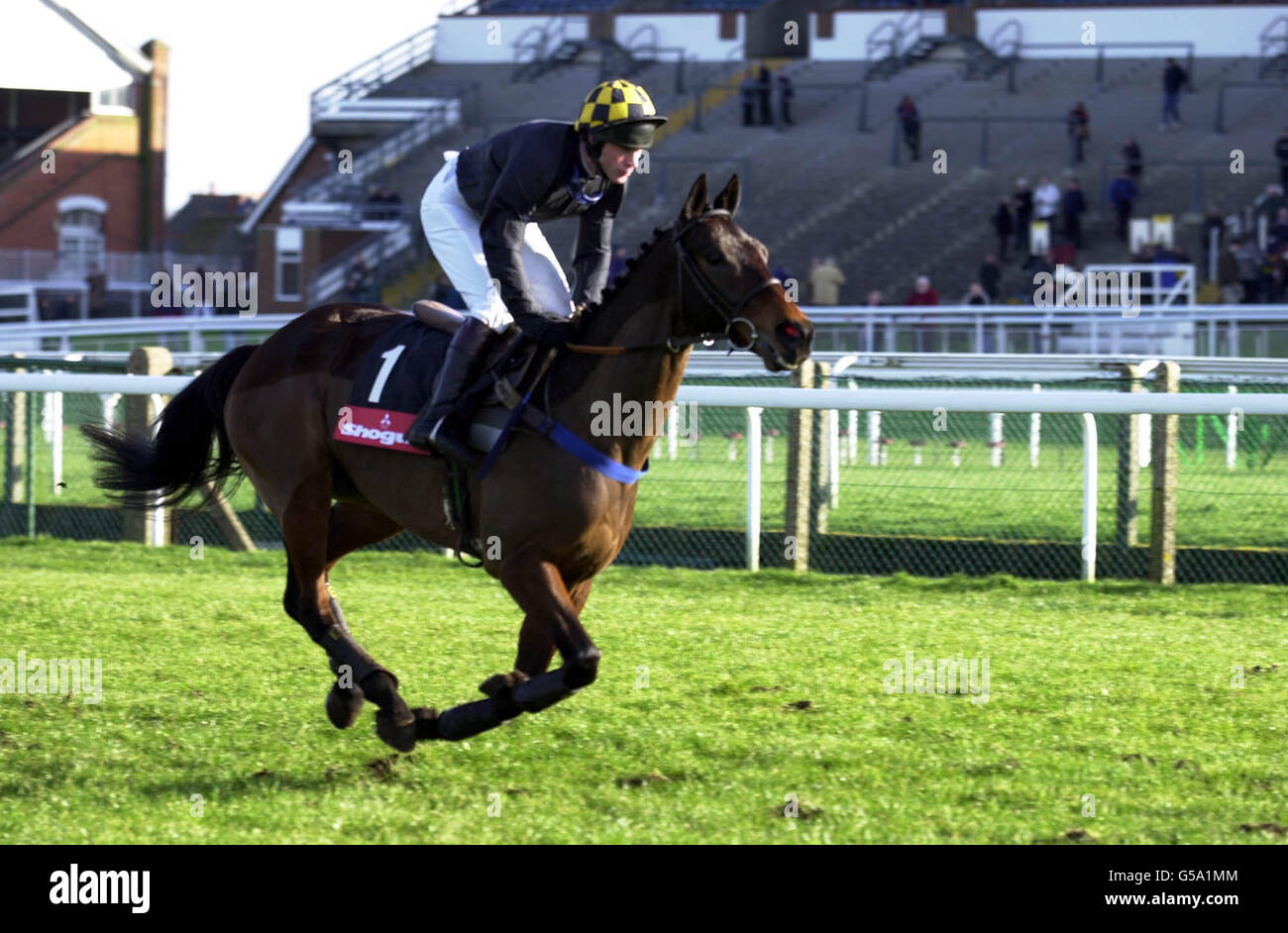 Horse Bellator, ridden by jockey Carl Llewellyn, returns to the stables after refusing to start in the Mitsubishi Shogun Ascot Chase at Ascot. The race was won by Tiutchev, ridden by Mick Fitzgerald, by 22 lengths. Stock Photo