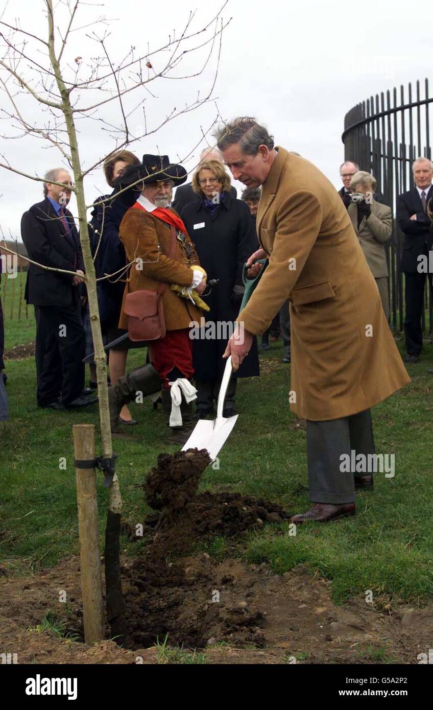 A Royalist soldier from the Sealed Knot Civil War re-enactment group looks on as Prince Charles plants an oak sapling at Boscobel House, near Tong, Shropshire. This year is the 350th anniversary of the arrival of King Charles I at the house. * The King, when fleeing advancing Parlimentarian forces after the Battle of Worcester, was given refuge at the house and hid there in the branches of an oak tree near the house as soldiers passed underneath. Today the Prince planted a sapling which is a direct descendent of the tree. Stock Photo