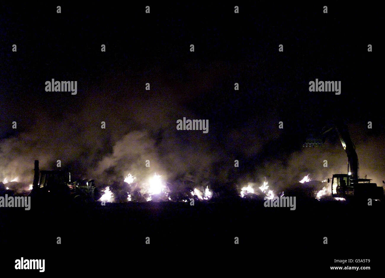 Northumberland workers constructed giant funeral pyre slaughtered