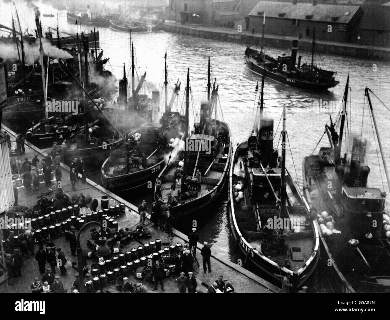 The herring harvest being landed on the quayside at Great Yarmouth
