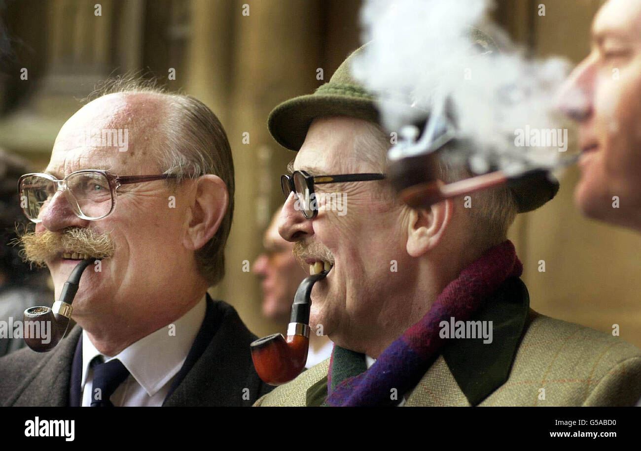 Endorsing smokers' rights Stock Photo Alamy