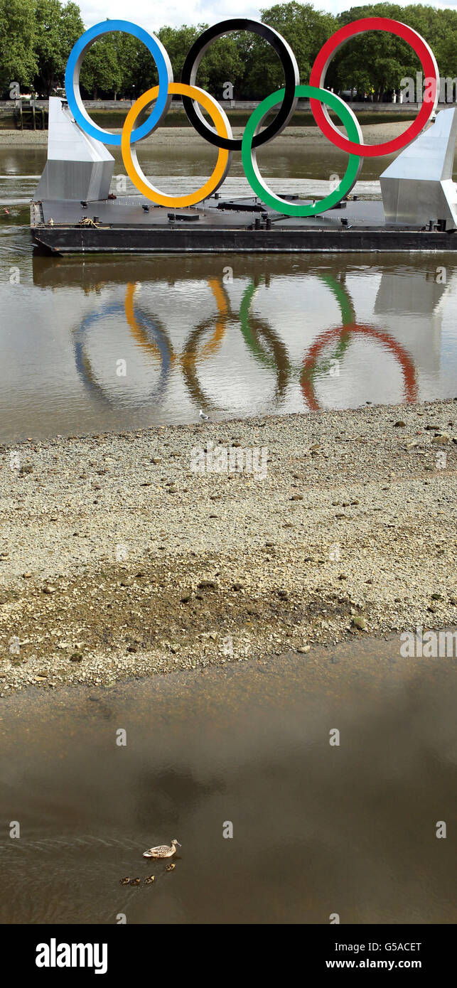 Olympics Final Preparations. Giant Olympic rings return to the River ...