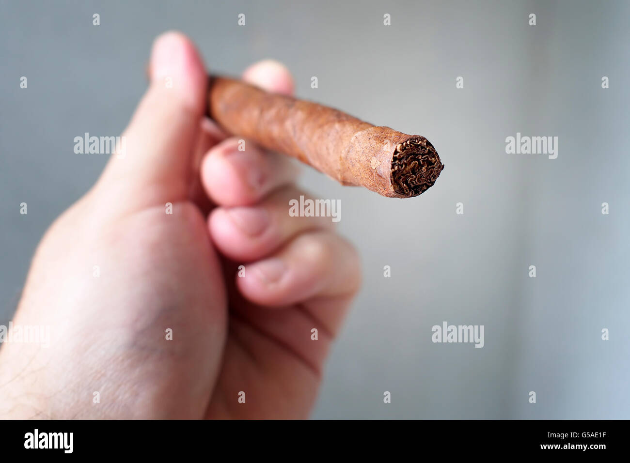 Italian full length toscano cigar. Stock Photo