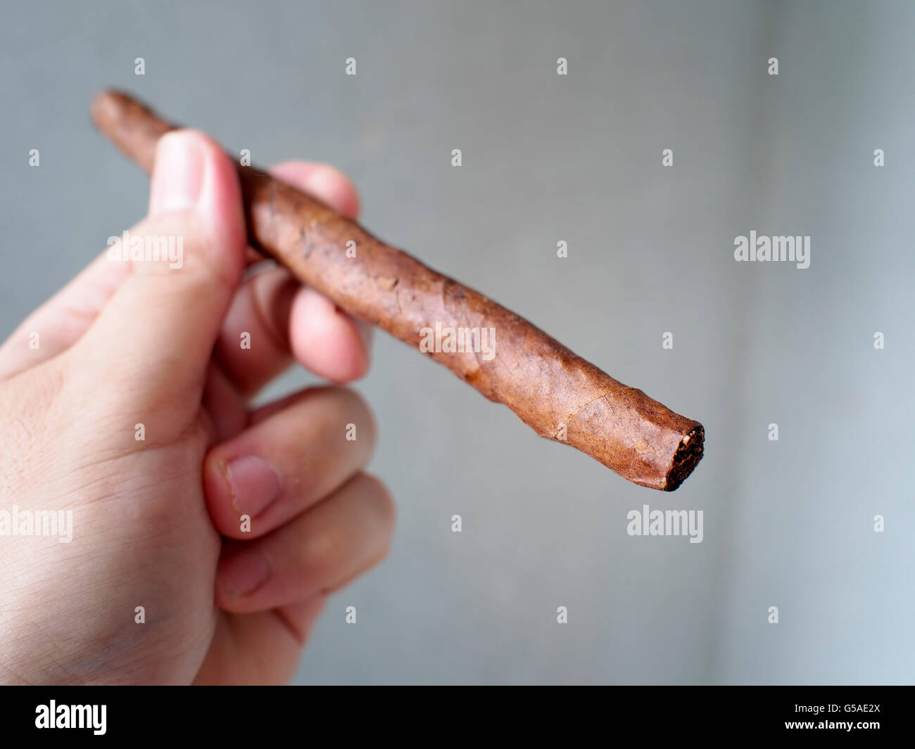 Italian full length toscano cigar. Stock Photo