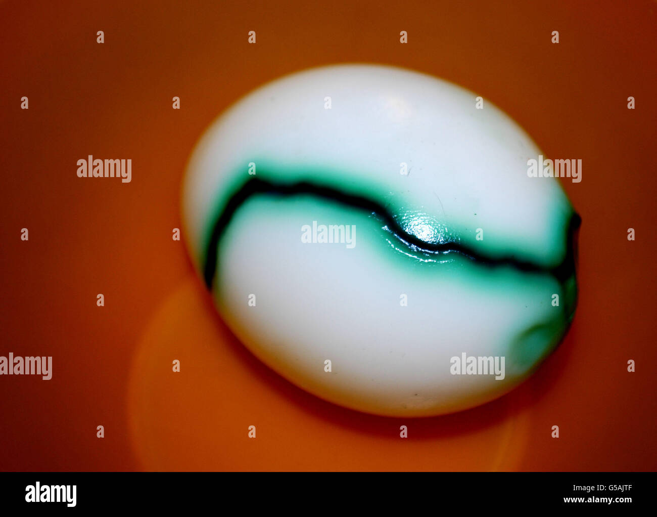 Under shell hi-res stock photography and images - Alamy