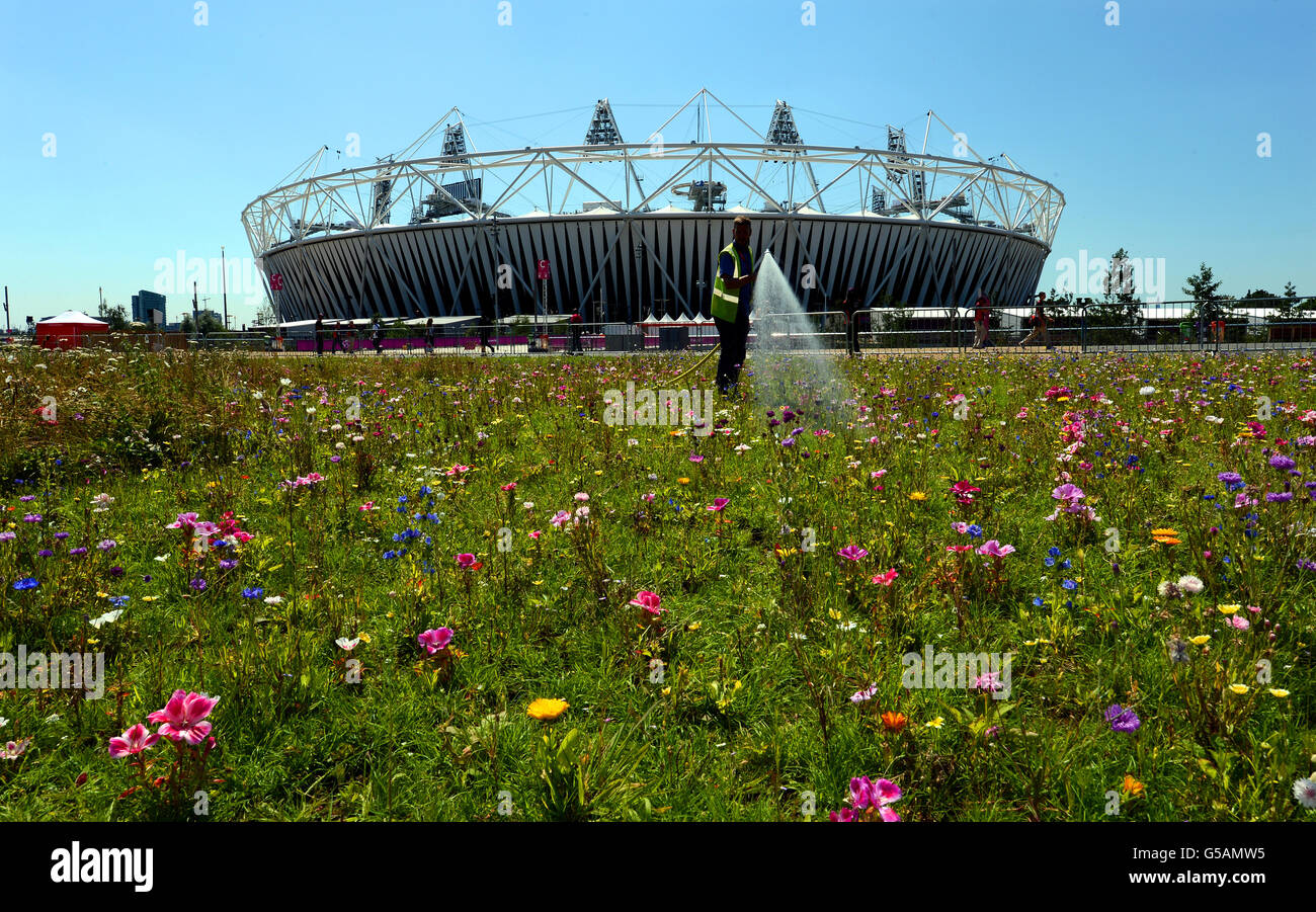 Workers water grass outside the Olympic Stadium in the Olympic Park in Stratford, east London, as preparations continue for the London 2012 Olympics. Stock Photo