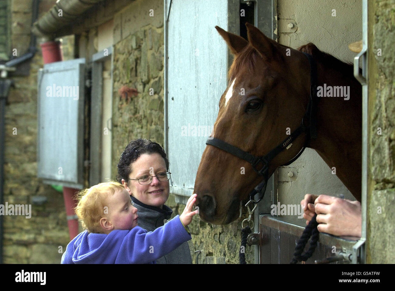 A young admirer congratulates Red Marauder, at the Brancepeth Manor