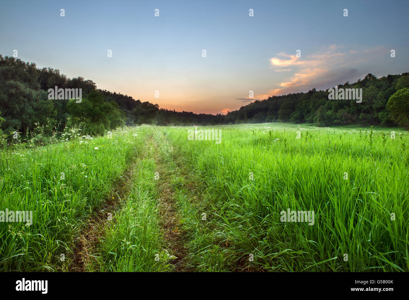 Summer landscape with green grass, road and clouds Stock Photo - Alamy