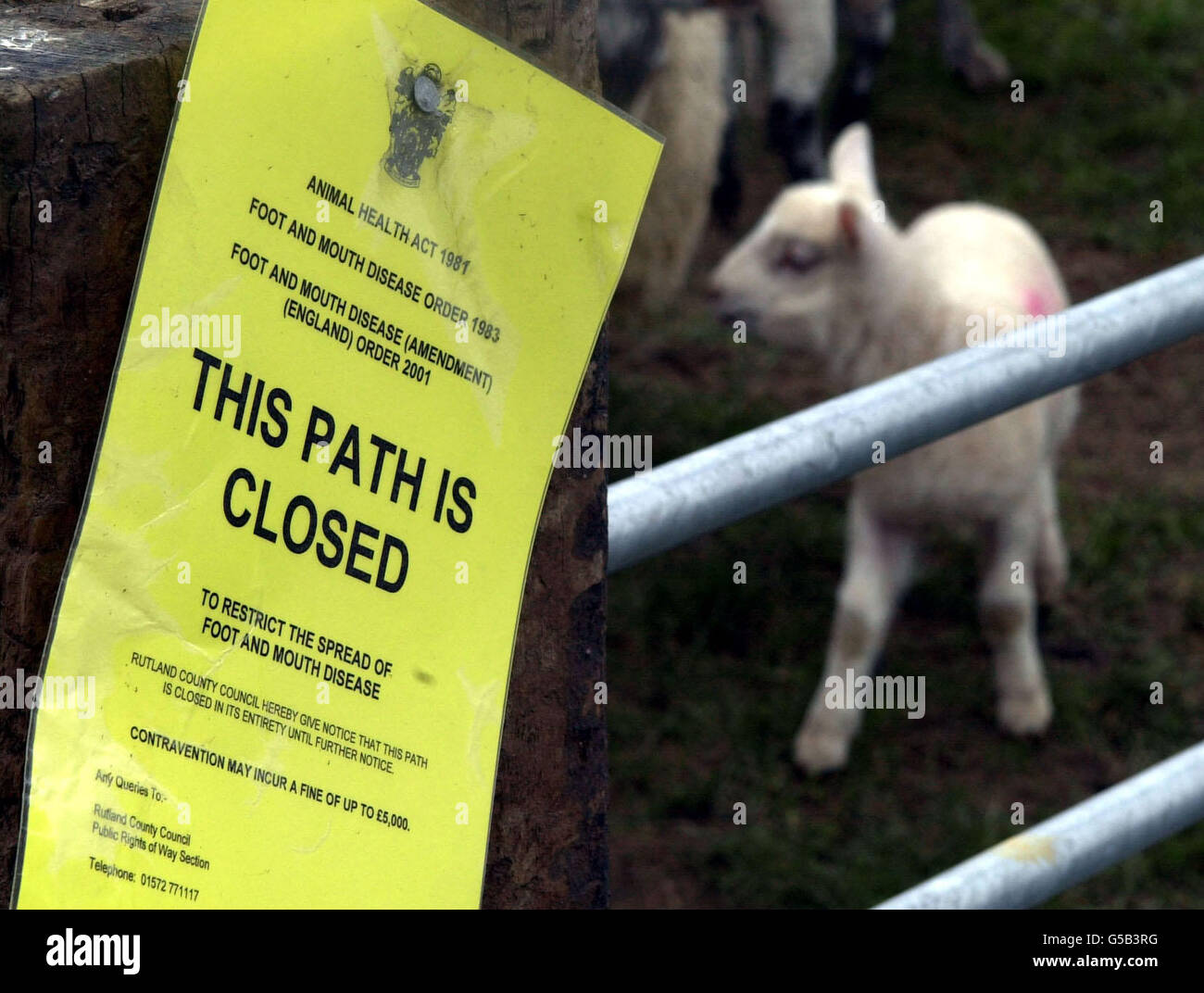 Lambs on the road sign hires stock photography and images Alamy