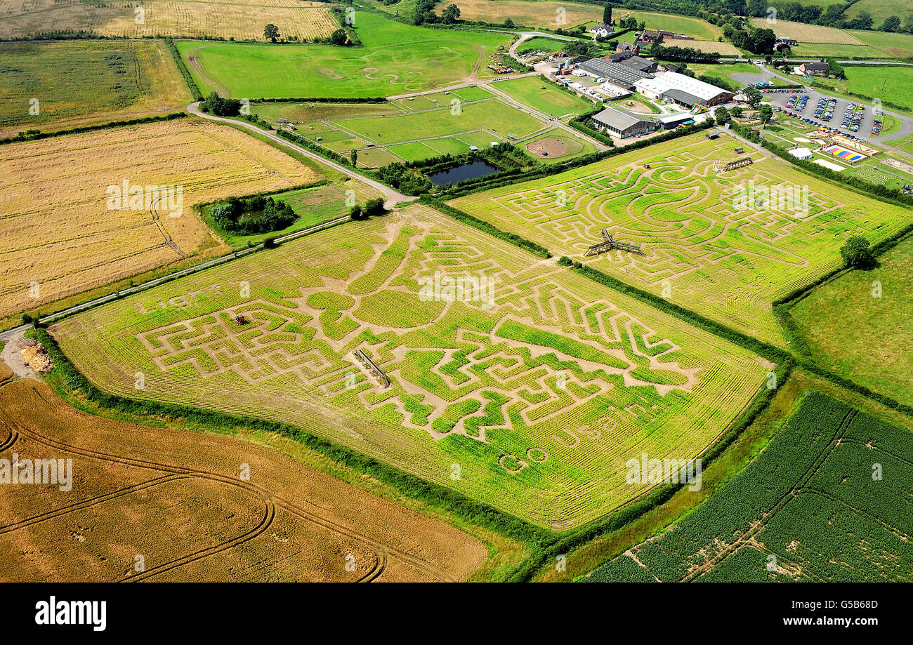 The maze created by Midlands farmer Tom Robinson as a tribute to Jamaican  sprinter Usain Bolt, in his 15 acre field of maize at the National Forest Adventure  Farm near Burton on